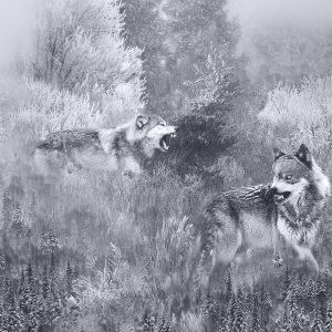 Neige & Noirceur – Septentrion